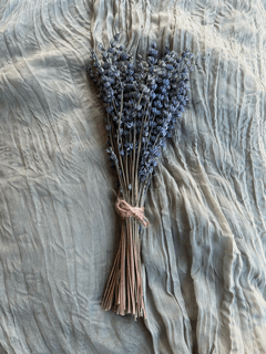 Dried Lavender Sticks