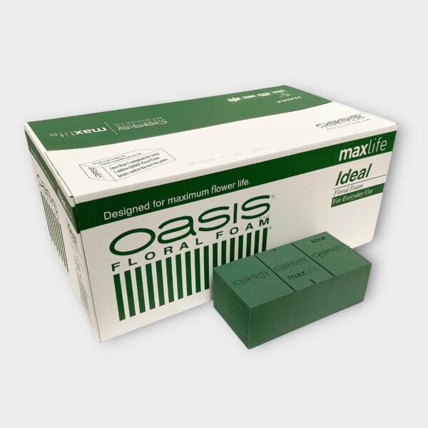 Floral Foam Box Set of 20