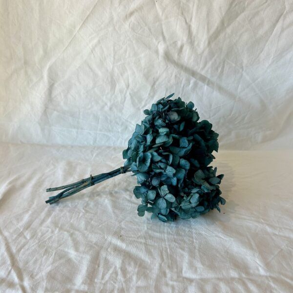 Preserved Blue Hydrangea Flowers
